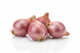 Shallots
